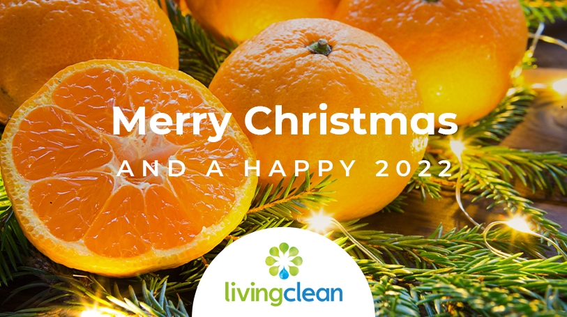 Merry Christmas from Living Clean